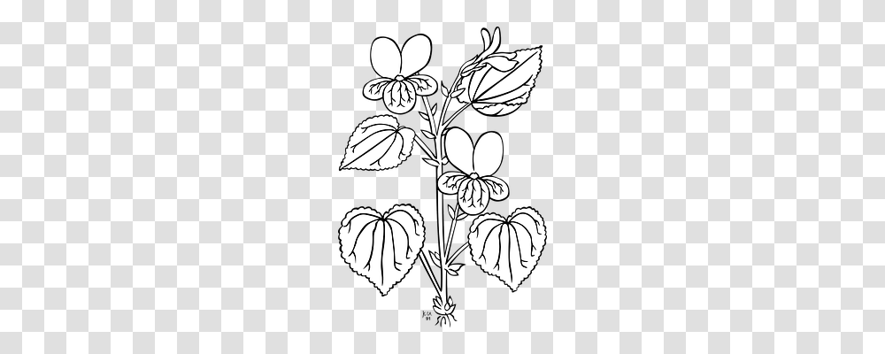 Viola Nature, Plant, Flower, Blossom Transparent Png