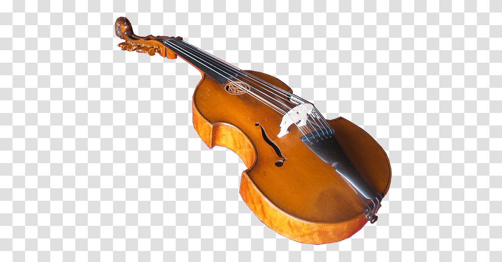 Viola Damore, Musical Instrument, Leisure Activities, Cello, Violin Transparent Png