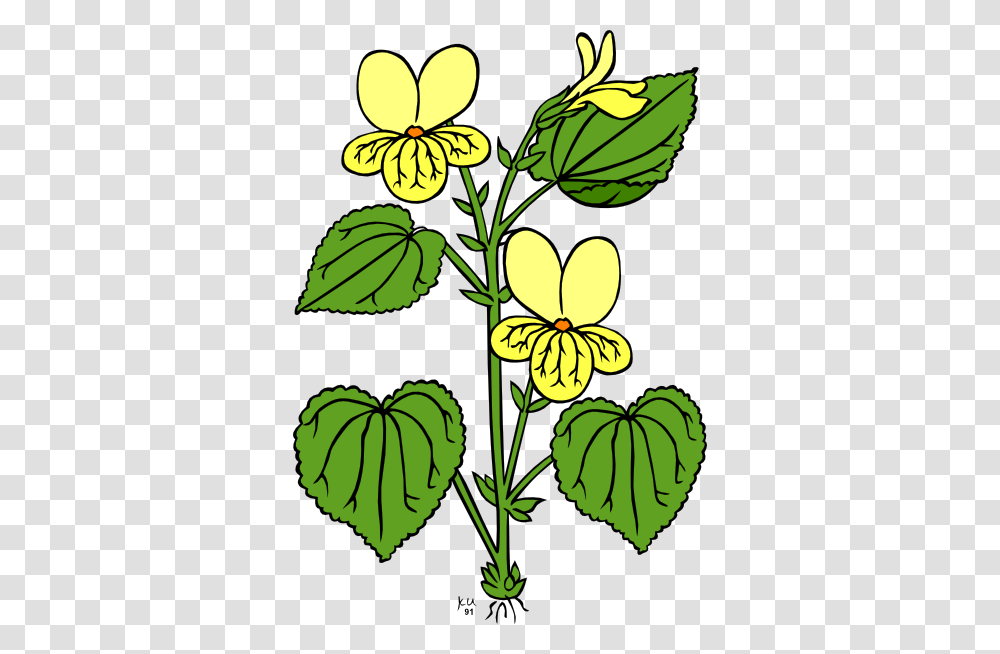 Viola, Leaf, Plant, Petal, Flower Transparent Png