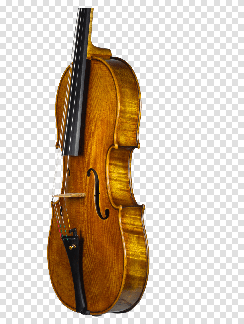 Viola, Musical Instrument, Cello, Leisure Activities, Violin Transparent Png