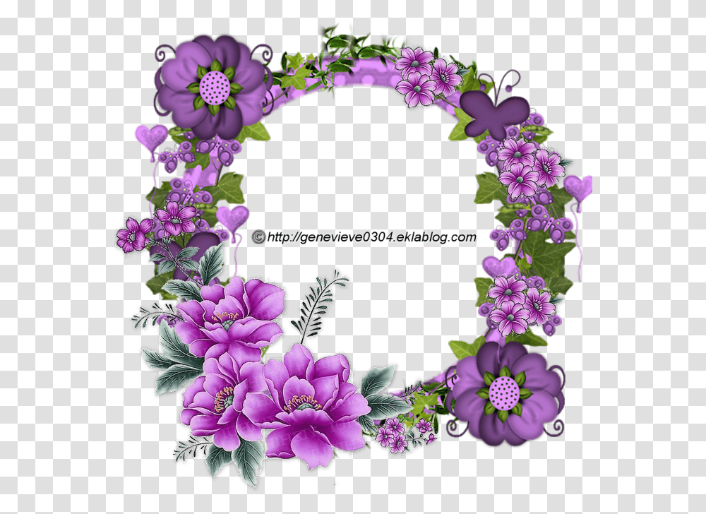 Viola, Plant, Flower, Blossom, Floral Design Transparent Png