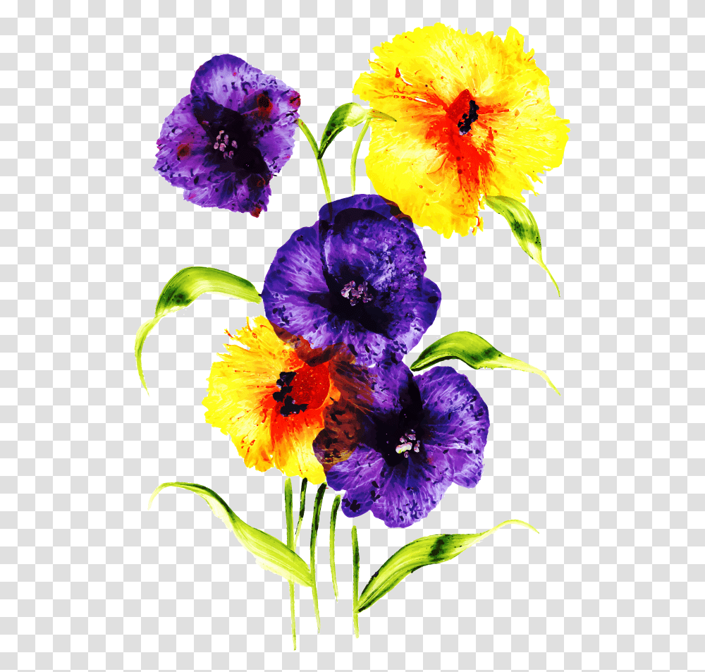 Viola, Plant, Flower, Blossom, Geranium Transparent Png