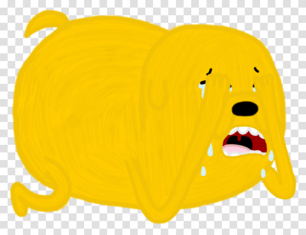Violent Crying Finn Cry Adventure Time, Outdoors, Plant, Animal, Nature Transparent Png