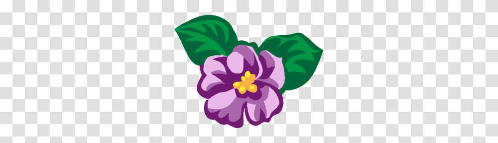 Violet Clip Art, Plant, Flower, Blossom, Hibiscus Transparent Png