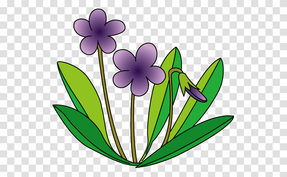 Violet Clip Art, Plant, Purple, Flower, Blossom Transparent Png