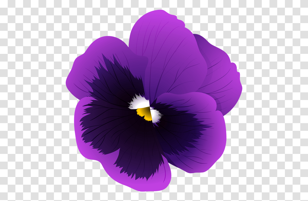 Violet Flower Background, Plant, Blossom, Pansy, Iris Transparent Png