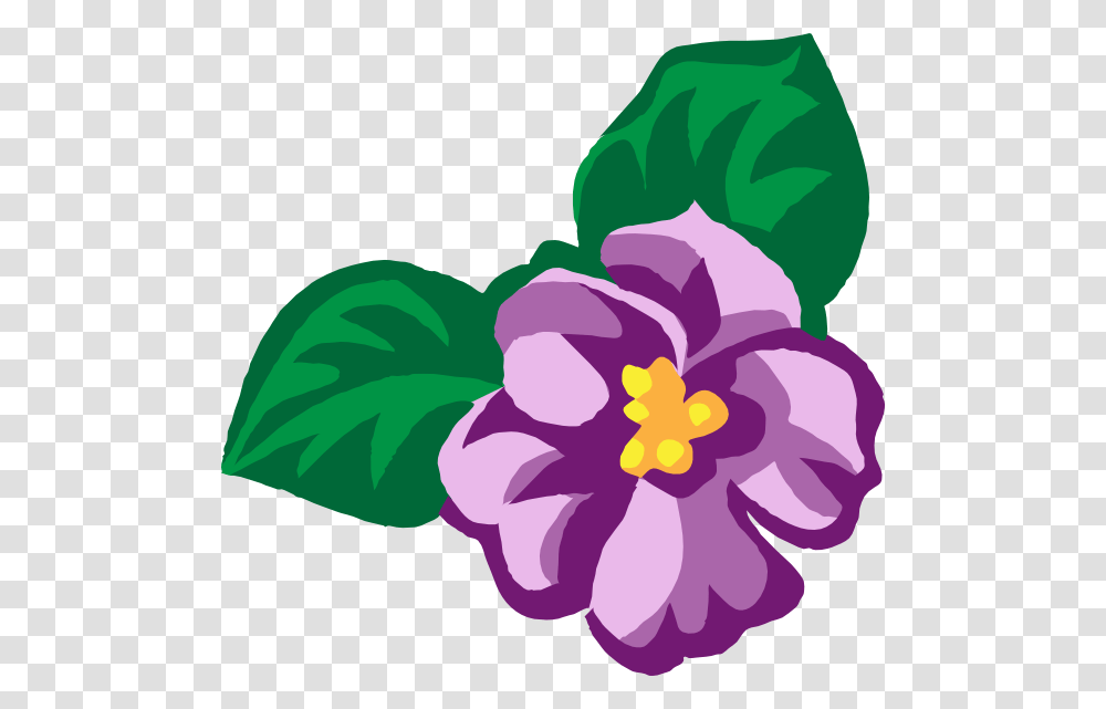 Violet Flower Clipart, Plant, Blossom, Floral Design Transparent Png