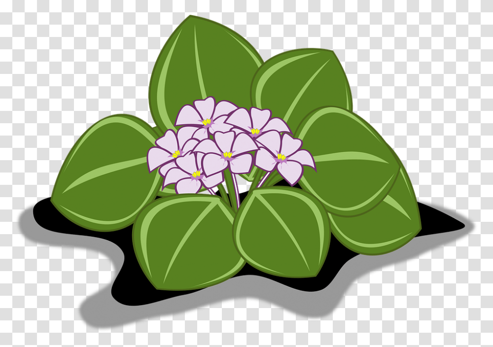 Violet Flower Clipart, Plant, Geranium, Blossom, Leaf Transparent Png