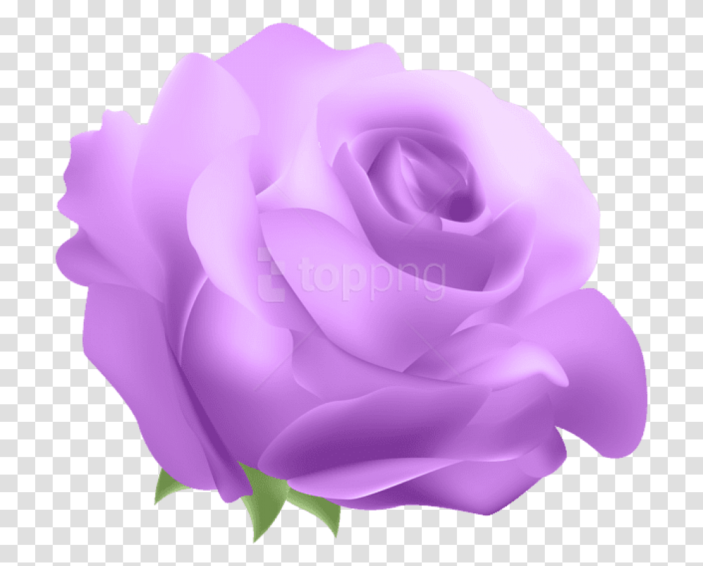 Violet Flower Download Deco Rose Blue Flowers Real Flowers Background Rose, Plant, Blossom, Petal Transparent Png