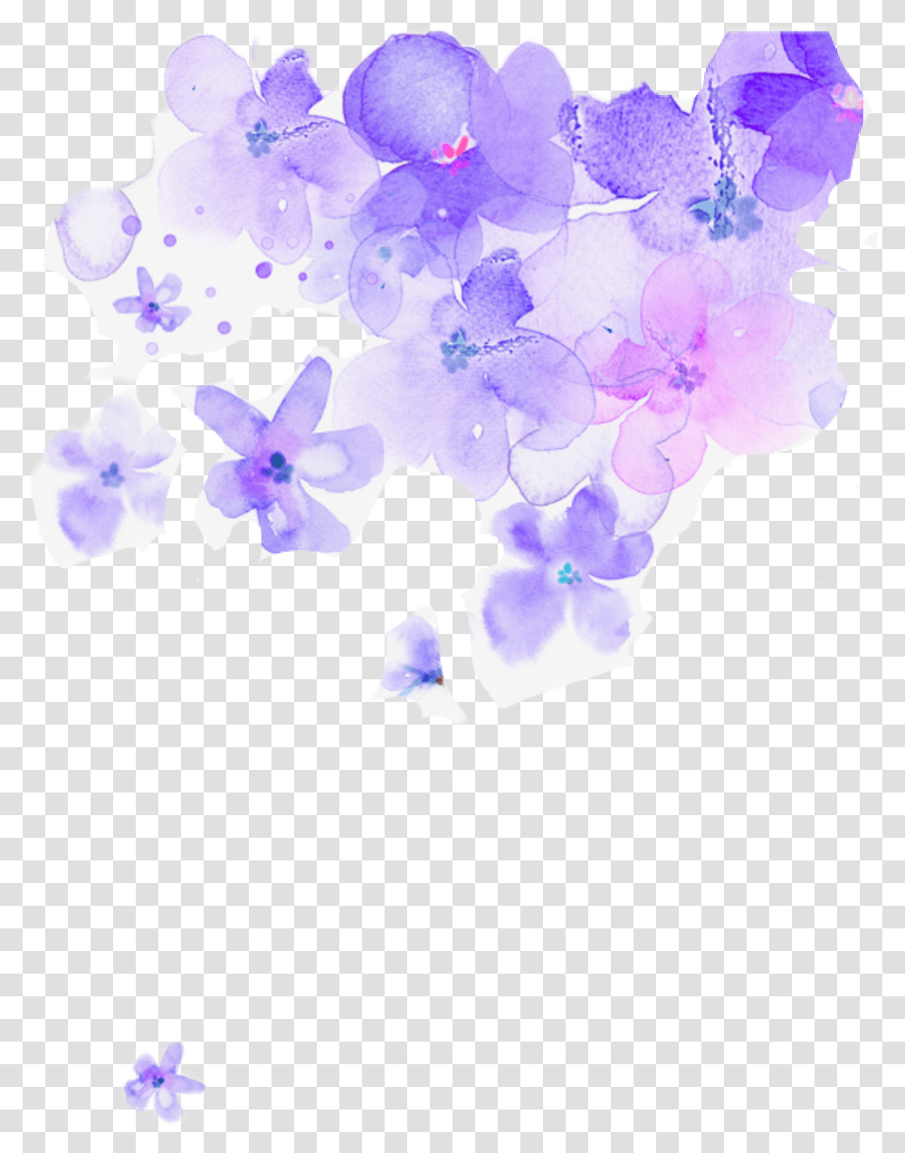 Violet Flower, Purple, Plant Transparent Png