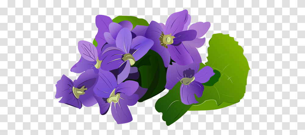 Violet Images Banner Free Download Violets Flower Clipart, Plant, Blossom, Pansy, Geranium Transparent Png