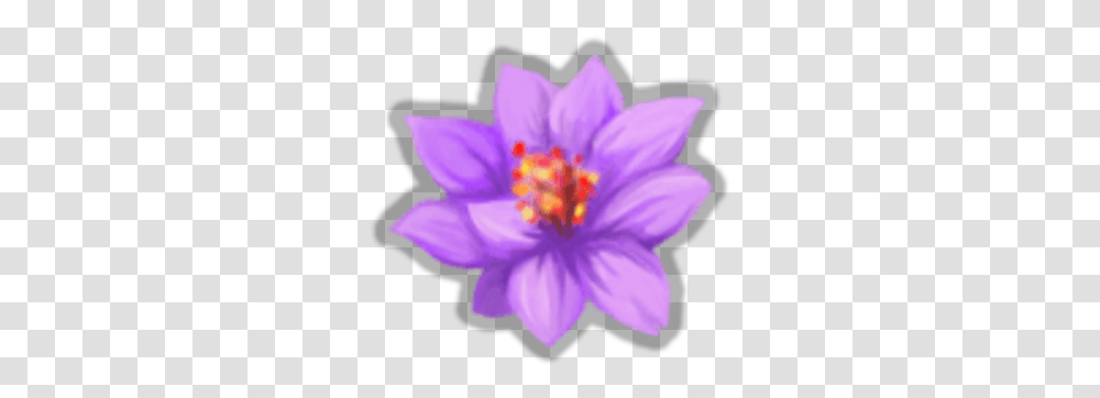 Violet Lotus Saffron Crocus, Plant, Anther, Flower, Blossom Transparent Png