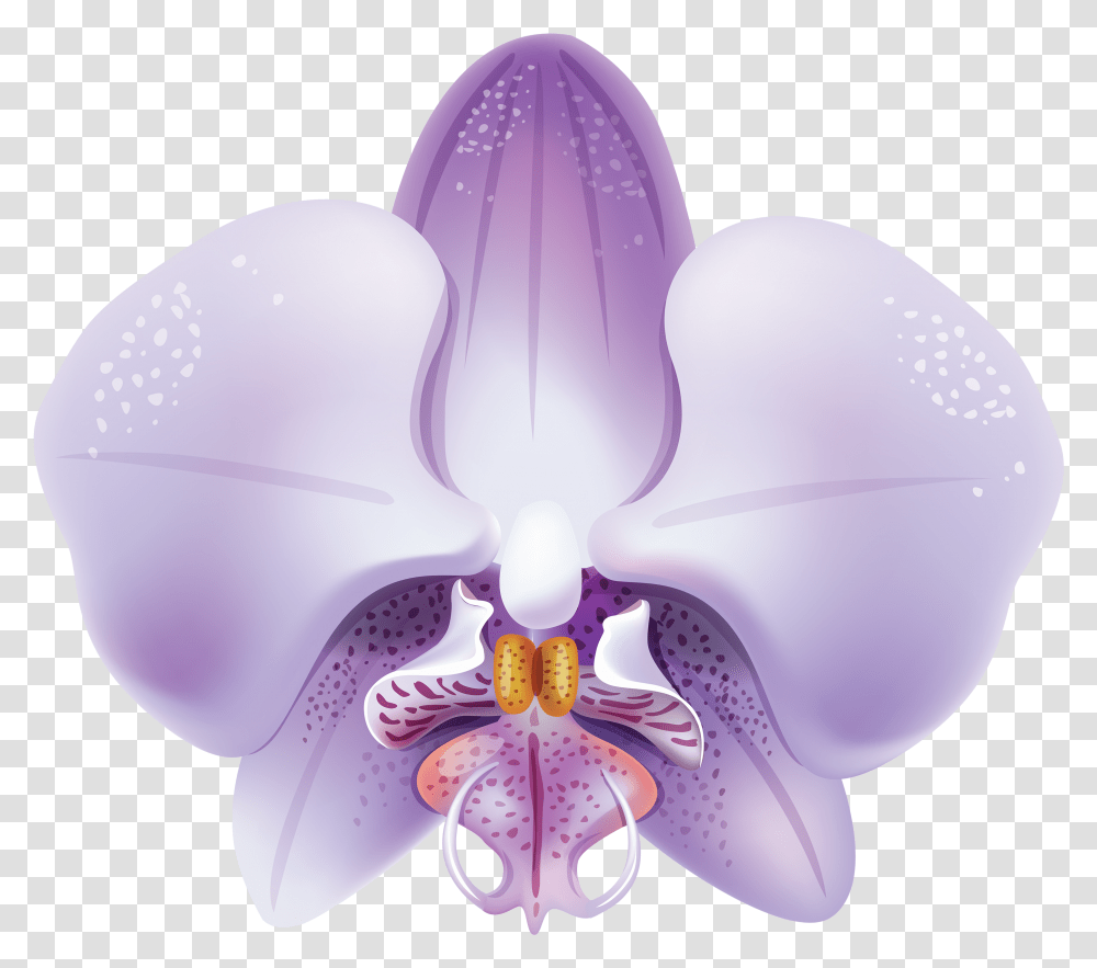 Violet Orchid Clipart Orquideas Lilas, Plant, Flower, Blossom, Balloon Transparent Png