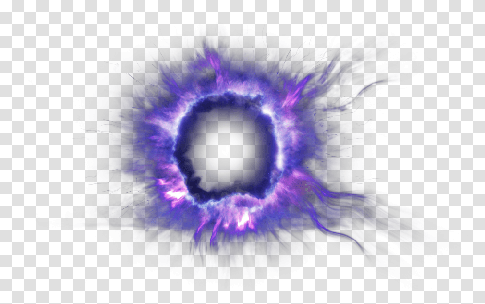 Violet Portal 2 Dot, Cat, Pet, Mammal, Animal Transparent Png