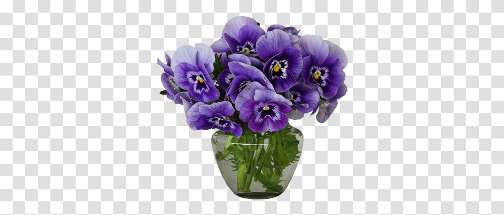 Violets And Vectors For Free Flowers In Vase Background, Plant, Blossom, Pansy, Geranium Transparent Png