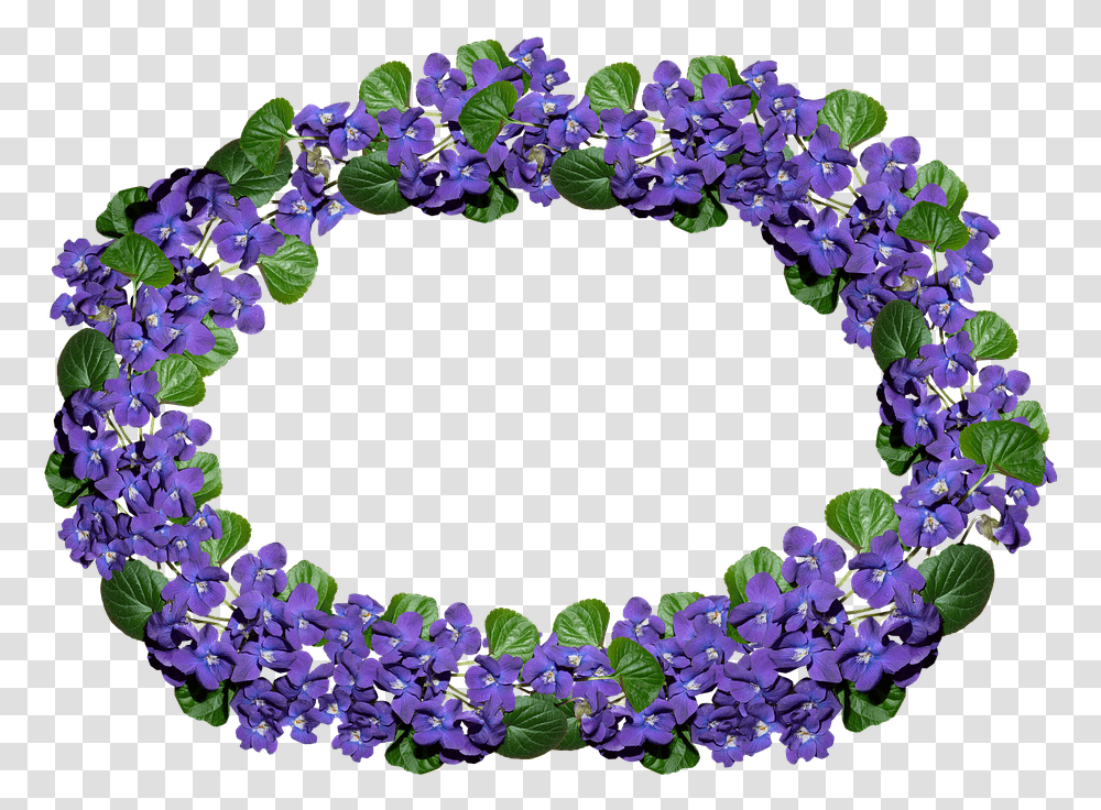 Violets Arrangement Frame Border Violet, Plant, Flower, Blossom, Wreath Transparent Png
