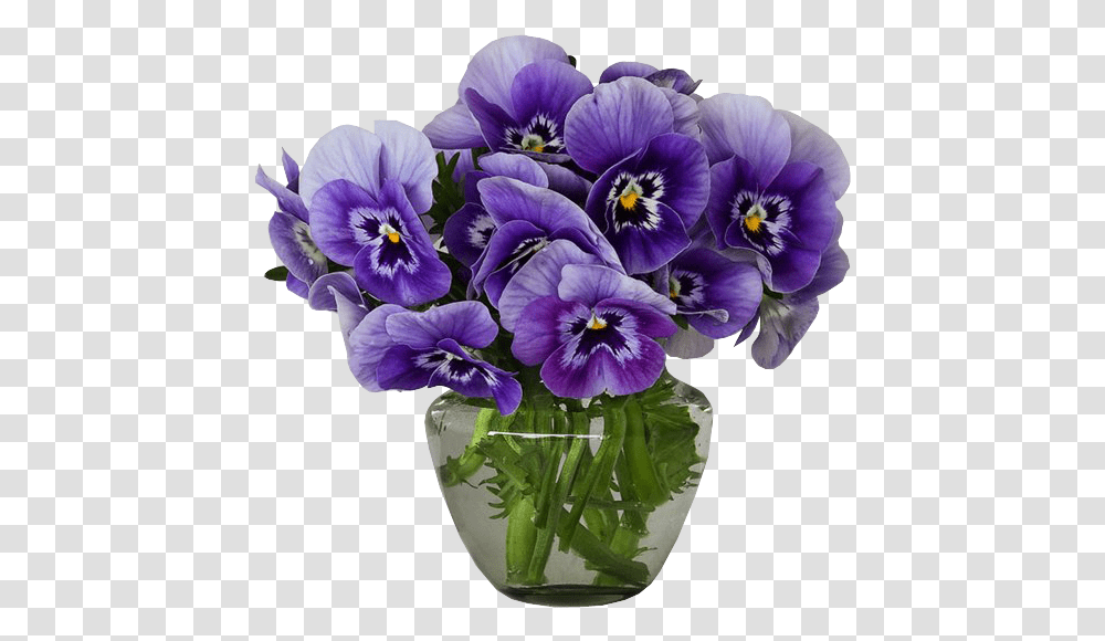 Violets Bouquet Gallery Yopriceville Violets Flower In A Vase, Plant, Blossom, Pansy, Geranium Transparent Png