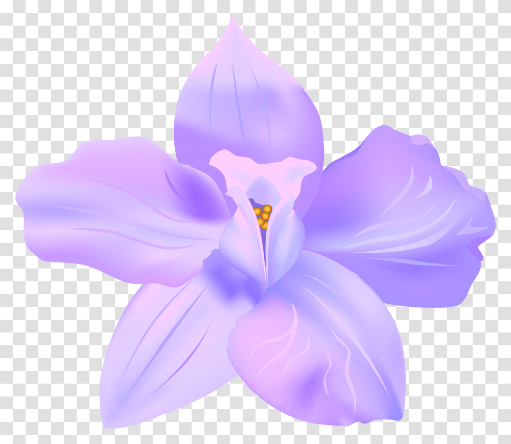Violets Clip Art, Plant, Flower, Blossom, Geranium Transparent Png