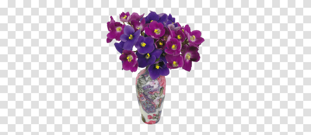 Violets Images Flowerpot, Plant, Blossom, Flower Arrangement, Flower Bouquet Transparent Png