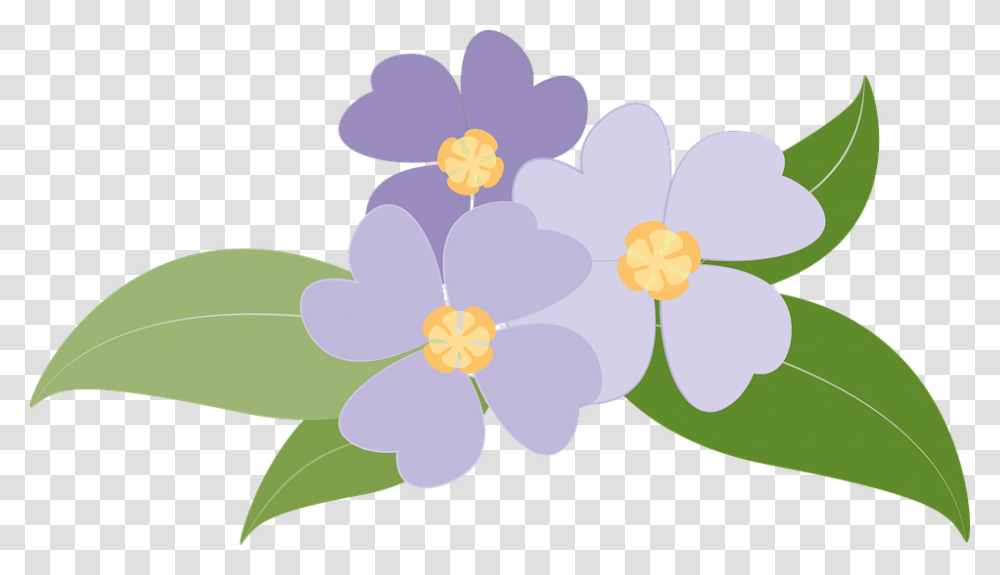 Violets, Plant, Flower, Floral Design, Pattern Transparent Png