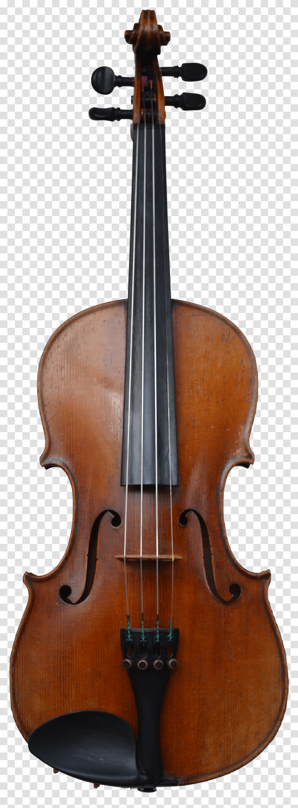 Violin Clipart Viola Instrument With Name Transparent Png