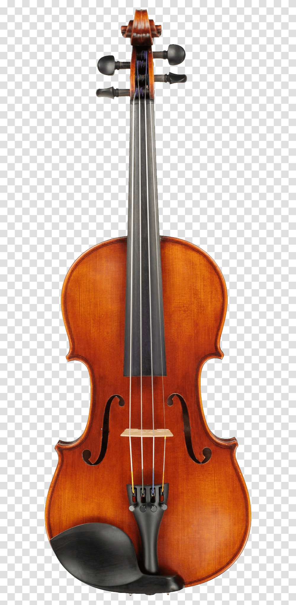 Violin, Musical Instrument, Leisure Activities, Viola, Fiddle Transparent Png
