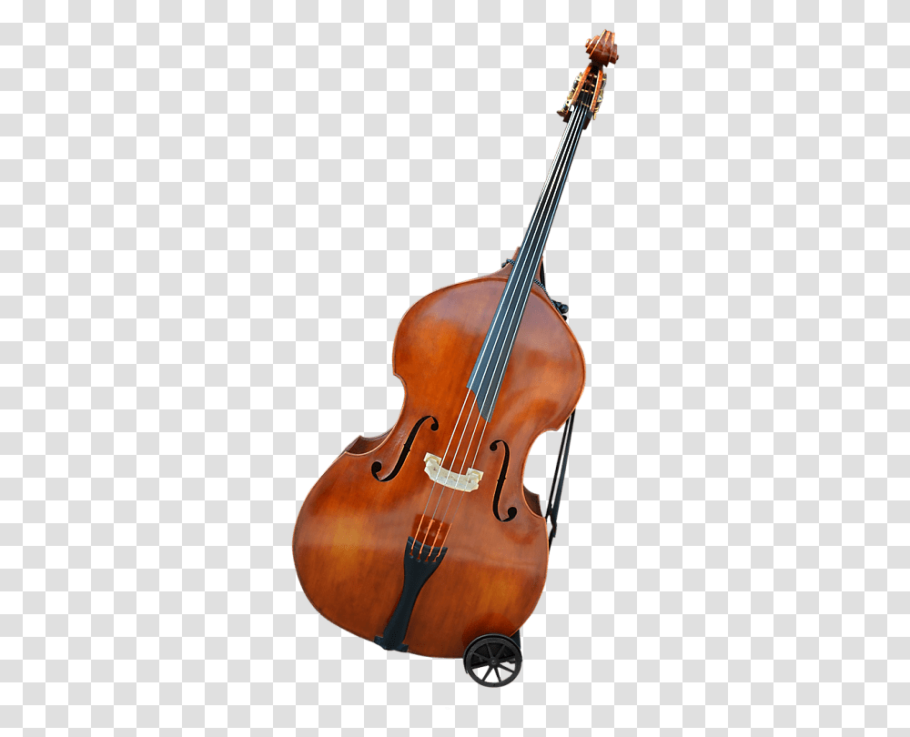 Violone, Cello, Musical Instrument, Guitar, Leisure Activities Transparent Png