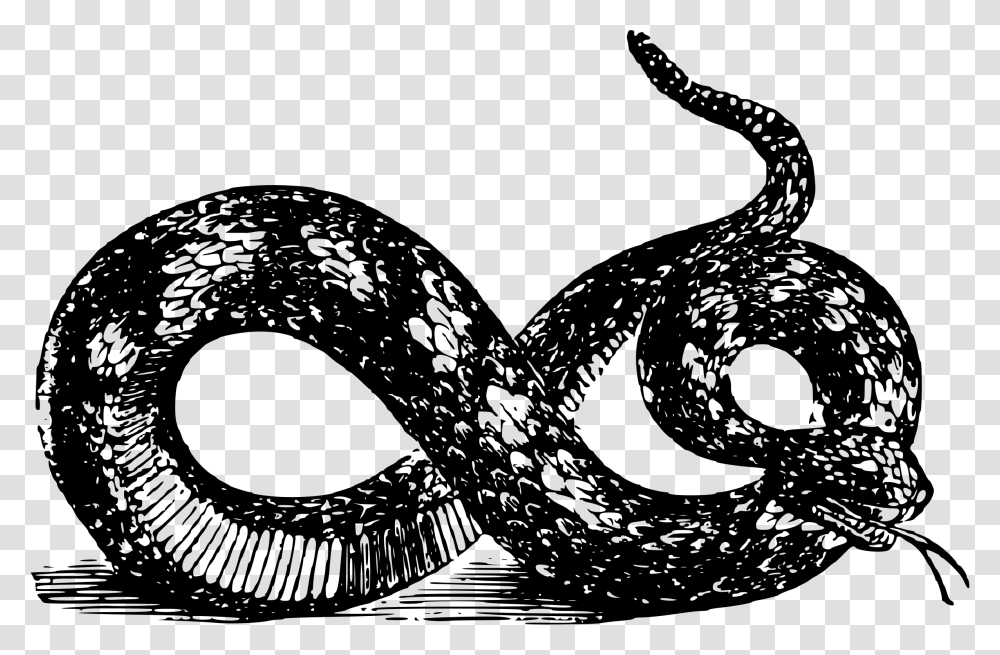 Viper Clipart 2 Snake Gadsden Flag Black And White Hd, Gray, World Of Warcraft Transparent Png