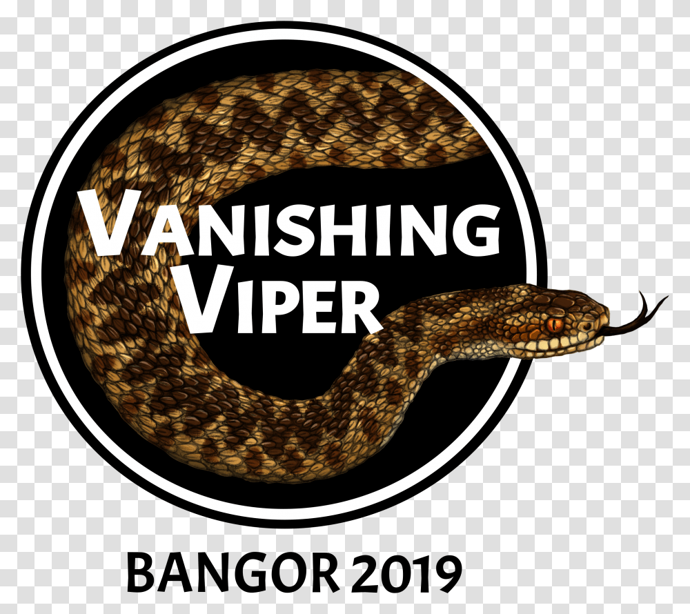 Viper Serpent, Snake, Reptile, Animal, Rattlesnake Transparent Png