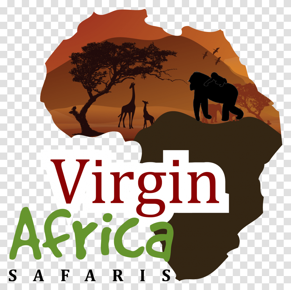 Virgin Africa Safaris Tree, Vegetation, Plant, Nature, Poster Transparent Png