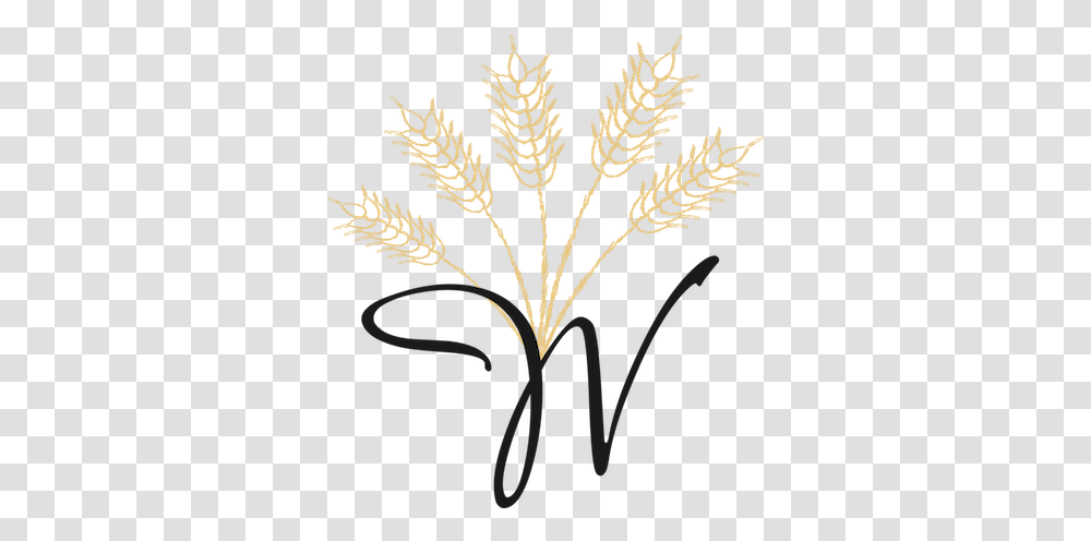 Virgin Wheat Illustration, Plant, Grass, Fern, Agropyron Transparent Png