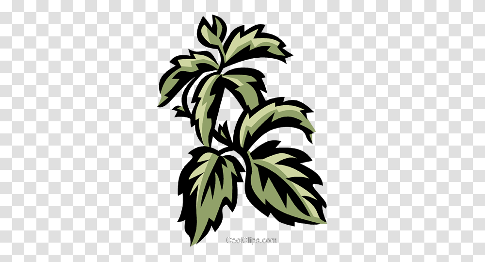 Virginia Creeper Royalty Free Vector Clip Art Illustration, Floral Design, Pattern, Plant Transparent Png