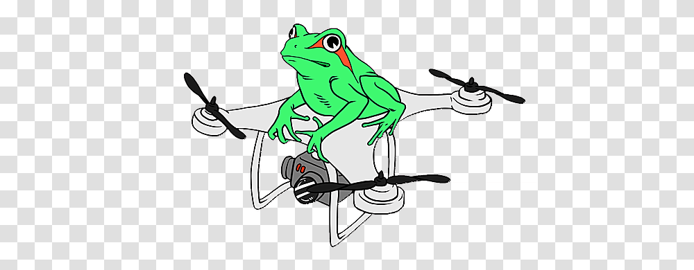 Virtual Tour Aerial Frog New Mexico Bullfrog, Animal, Amphibian, Wildlife, Tree Frog Transparent Png