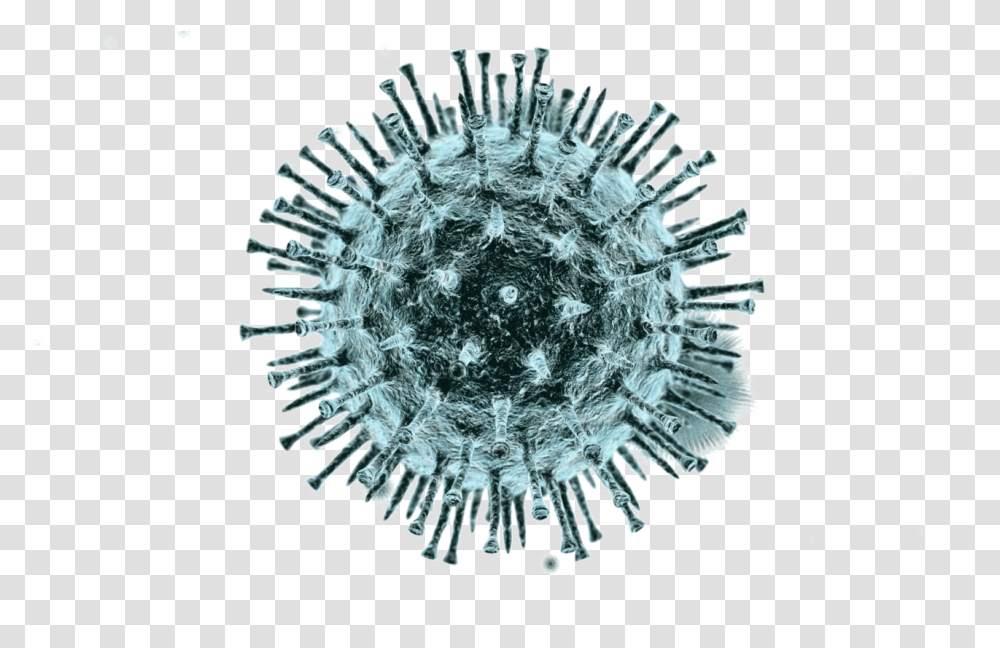 Virus 1 Image Virus, Chandelier, Lamp, Crystal, Snowflake Transparent Png