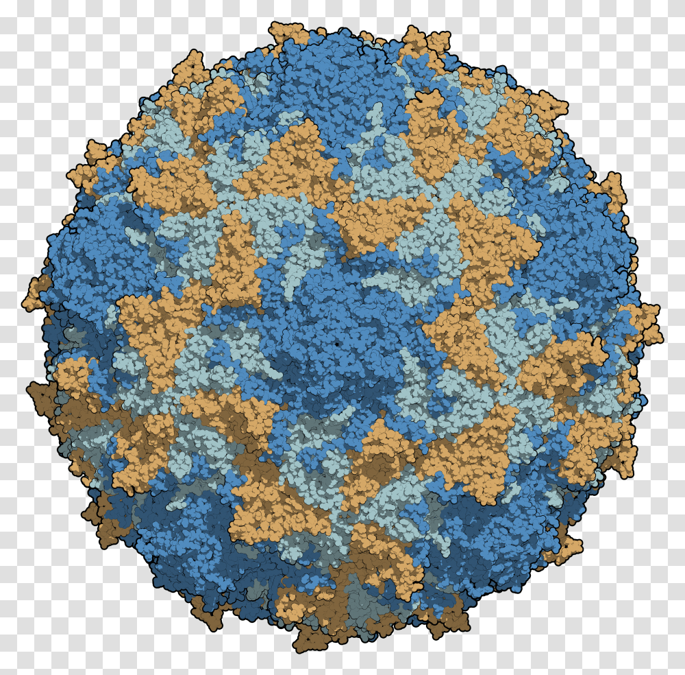 Virus De La Poliomielitis Transparent Png