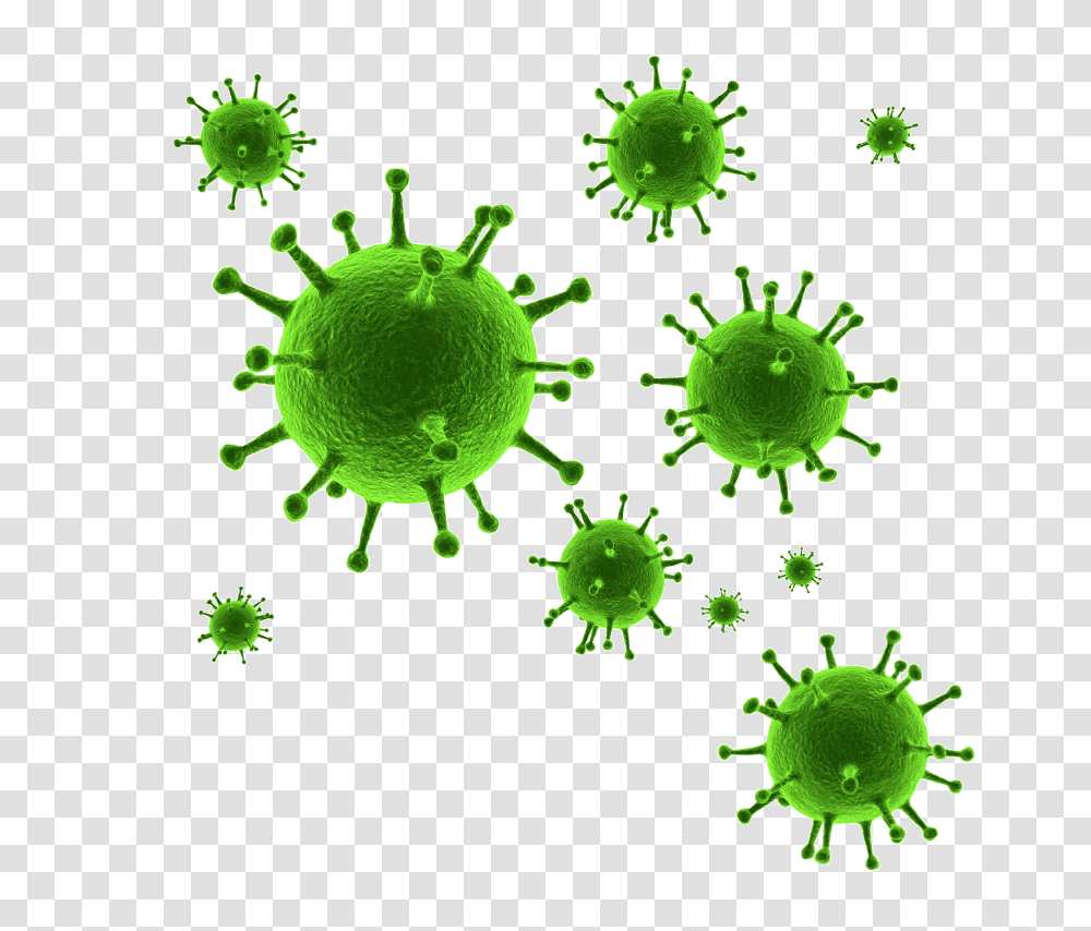 Virus, Green, Plant, Invertebrate, Animal Transparent Png