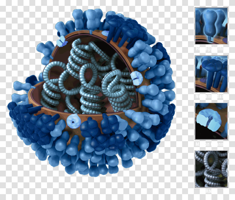 Virus Influenza Flu Virus, Birthday Cake, Food, Sphere, Plant Transparent Png
