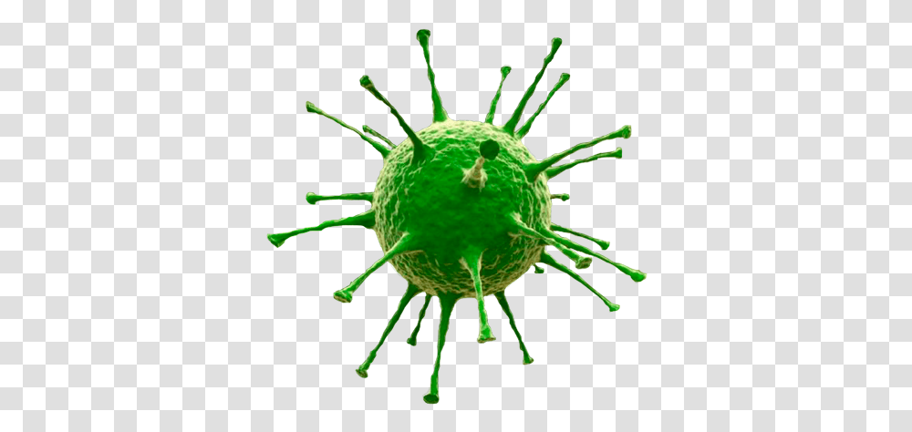 Virus Virus With No Background, Green, Ball, Plant, Sphere Transparent Png