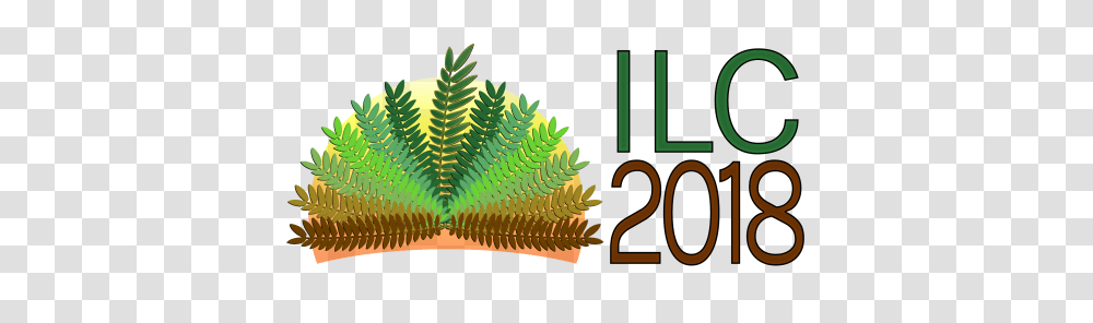 Visa Information International Leucaena Conference, Pattern, Ornament, Fractal, Plant Transparent Png