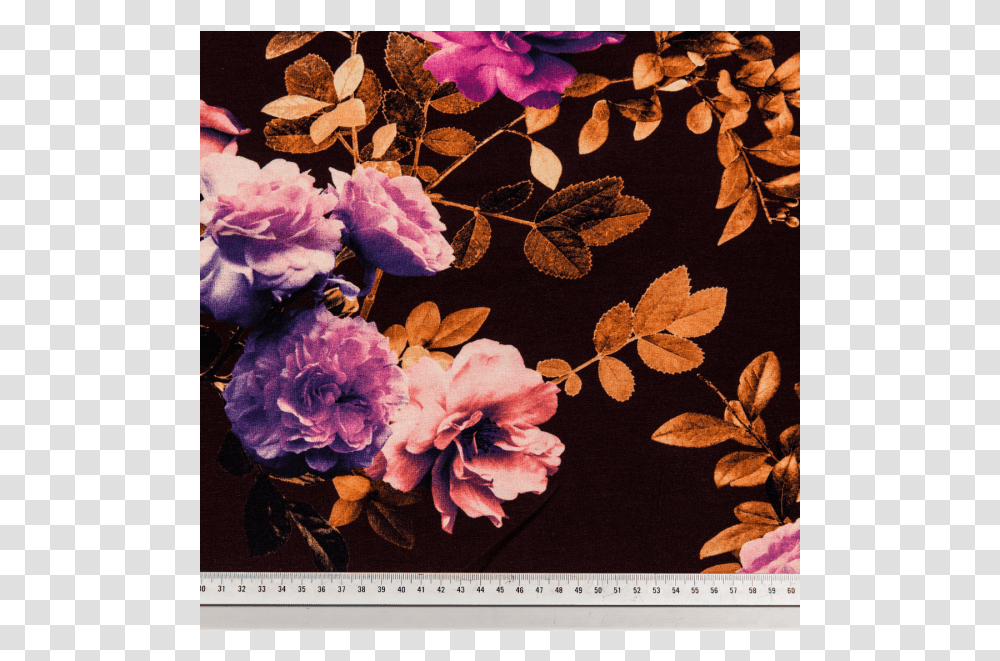 Viscose Jersey Printed Purple Roses In The Dark Multicolored Hybrid Tea Rose, Plant, Flower, Blossom Transparent Png