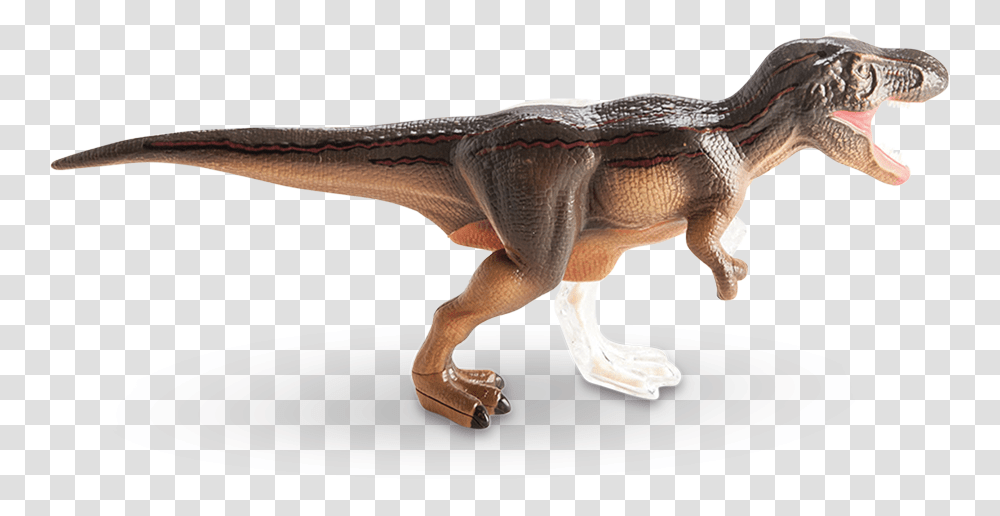 Vision T Rex Anatomy Model Anatomy, Dinosaur, Reptile, Animal Transparent Png