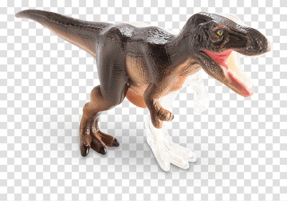 Vision T Rex Anatomy Model Velociraptor, T-Rex, Dinosaur, Reptile, Animal Transparent Png