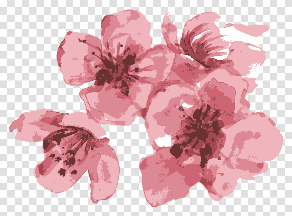 Visit Our Event Site Hibiscus, Plant, Flower, Blossom, Cherry Blossom Transparent Png