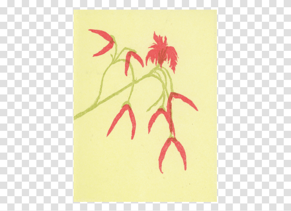 Visual Arts, Pattern, Plant, Drawing, Flower Transparent Png