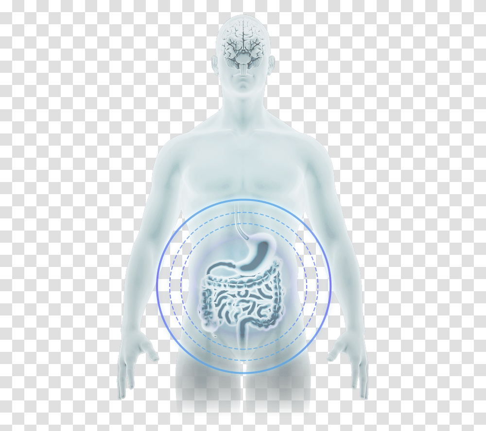 Visual Arts, Person, Torso, Snowman Transparent Png