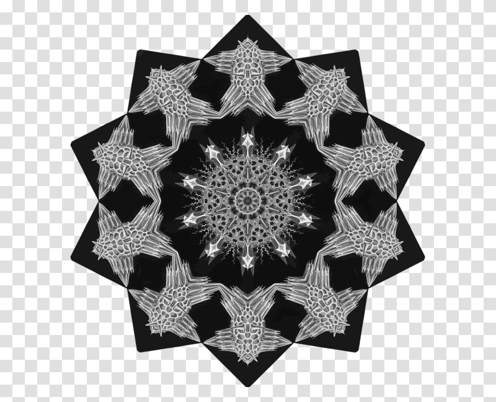 Visual Artslacesymmetry Circle, Spider Web, Snowflake, Pattern, Ornament Transparent Png