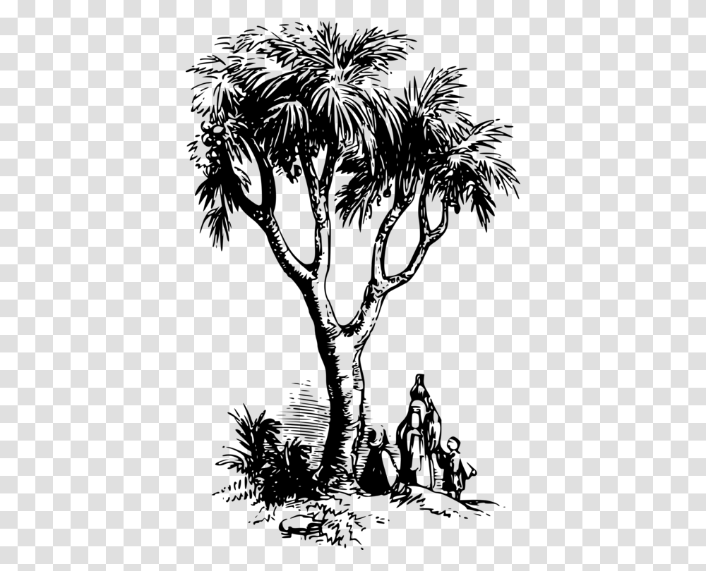 Visual Artsplantflower Doum Palm Tree Drawing, Gray, World Of Warcraft Transparent Png