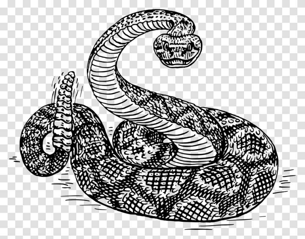 Visual Artsreptileserpent Rattlesnake Black And White, Gray, World Of Warcraft Transparent Png