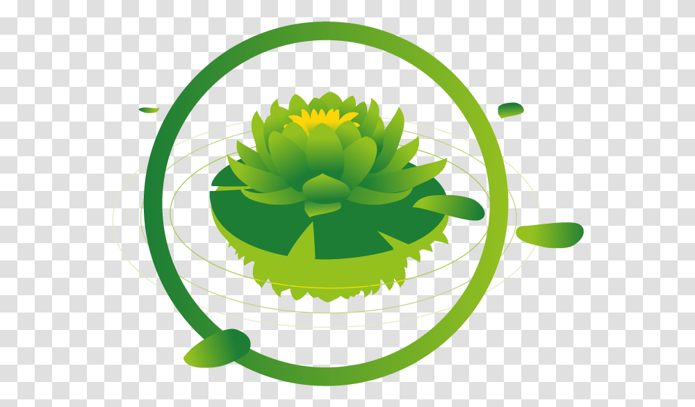 Vita Silky Fluid Fresh, Green, Plant, Graphics, Art Transparent Png
