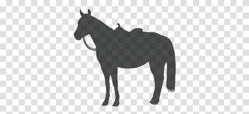 Vitalize With The Amaferm Advantage, Silhouette, Horse, Mammal, Animal Transparent Png